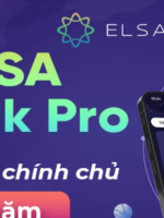 App Elsa Pro